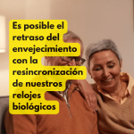 Longevidad: Es posible el retraso del envejecimiento con la resincronización de nuestros relojes biológicos